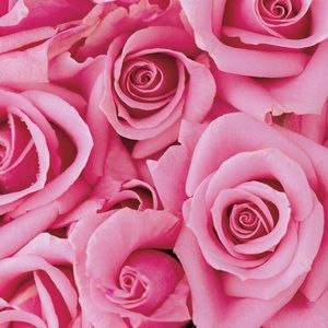 Meet your Posher, Deni